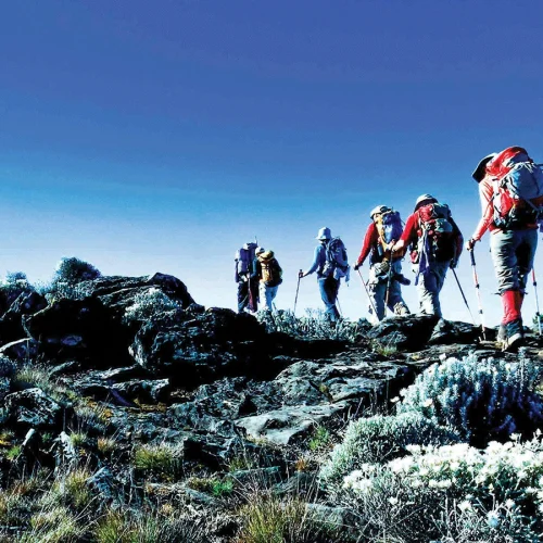 9-Day Northern Circuit Route Trek – Kilimanjaro Climb