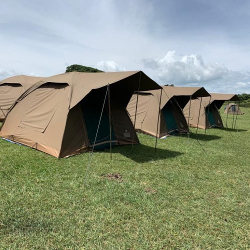 6 Day Camping Safari (Tarangire, Serengeti, Ngorongoro)