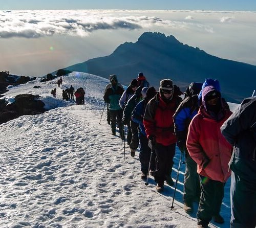 8 Days Lemosho Route Trek – Kilimanjaro Climb