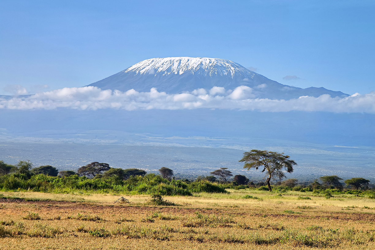 Kilimanjaro