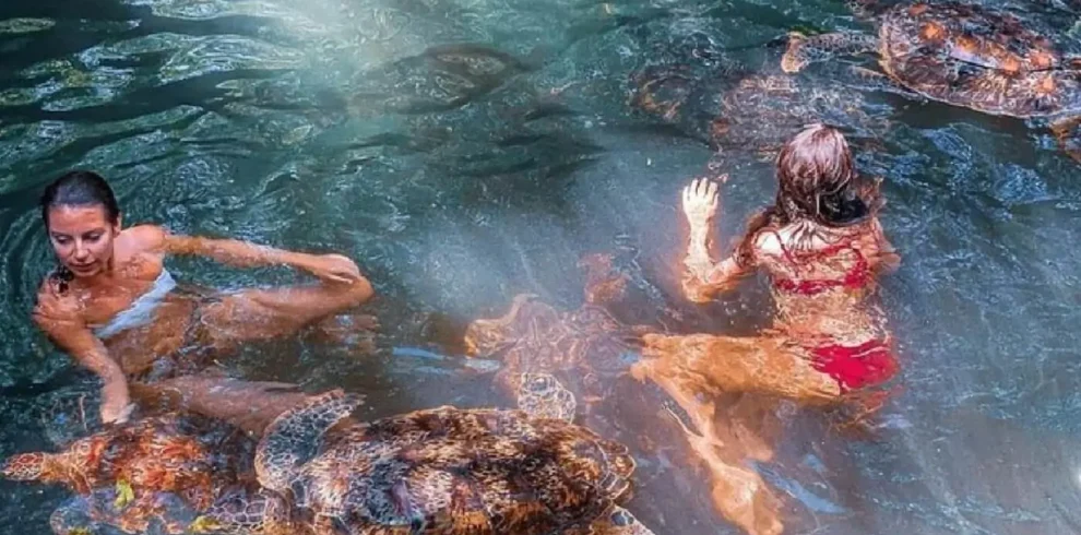 Swimming-with-the-Sea-Turtles-with-Tanzania-Horizon-Safaris-8-1