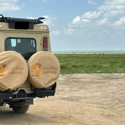6 Days 5 Nights Tanzania Classic Safari