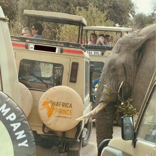6 Days – Tanzania Classic Safari