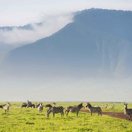 2-Day Tanzania Safari – Tarangire & Ngorongoro