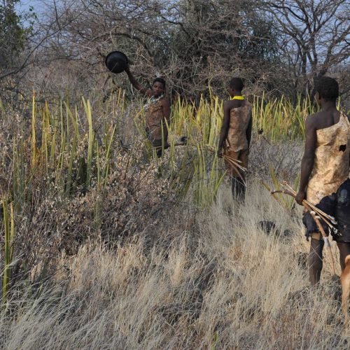 Day Trip to Lake Eyasi & Hadzabe Tribe
