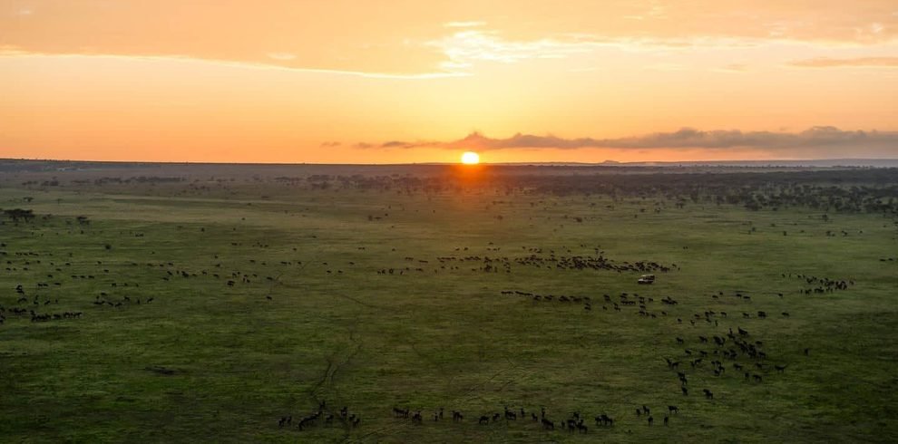 great-migration-southeastern-plains-ndutu