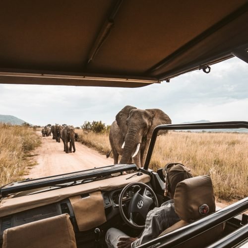 2-Day Tanzania Safari – Tarangire & Ngorongoro