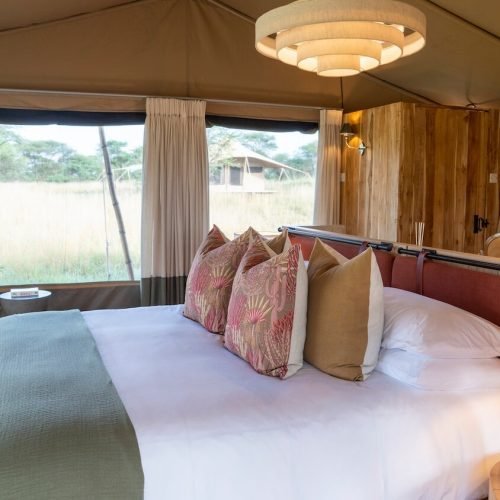 4-Day Luxury Tanzania Highlights Safari