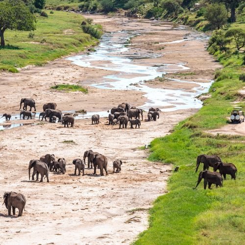 4-Day Budget Tanzania Safari – Tarangire & Ngorongoro