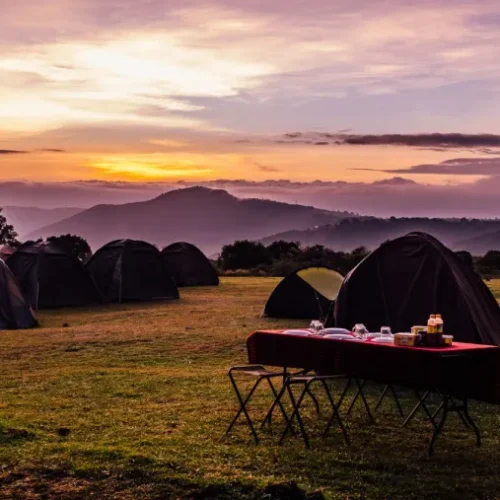 8 Day Camping Safari (Manyara, Serengeti, Ngorongoro Crater & Tarangire)